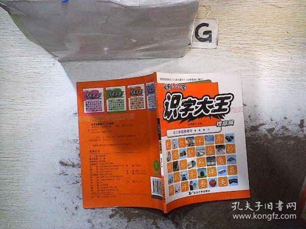 3-6岁识字大王幼儿学前常用字学前1500字（全4册）