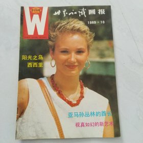 世界知识画报。月刊，1989年10期