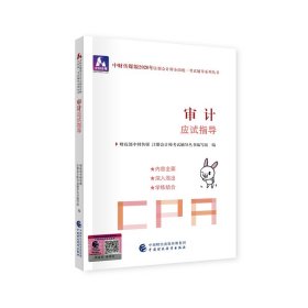 注册会计师2020配套辅导 2020年注册会计师全国统一考试辅导系列 应试指导 审计应试指导