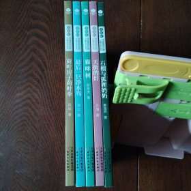 “奇彩虹”中国原创幻想儿童文学丛书·（5本合售）荷叶房子荷叶伞·猫咪树 石榴与狐狸奶奶 最后一只净水鸟 .天街的灯