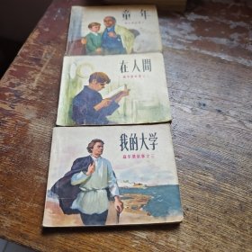 童年在人间我的大学 a
