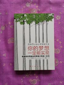 你的梦想一定能实现：稻盛和夫写给全世界青少年的一本书