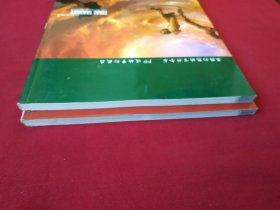 最终幻想历史 超白金典藏 上下