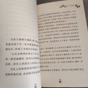 寺院里的小松鼠