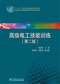 【现货速发】高级电工技能训练杨金桃主编中国电力出版社