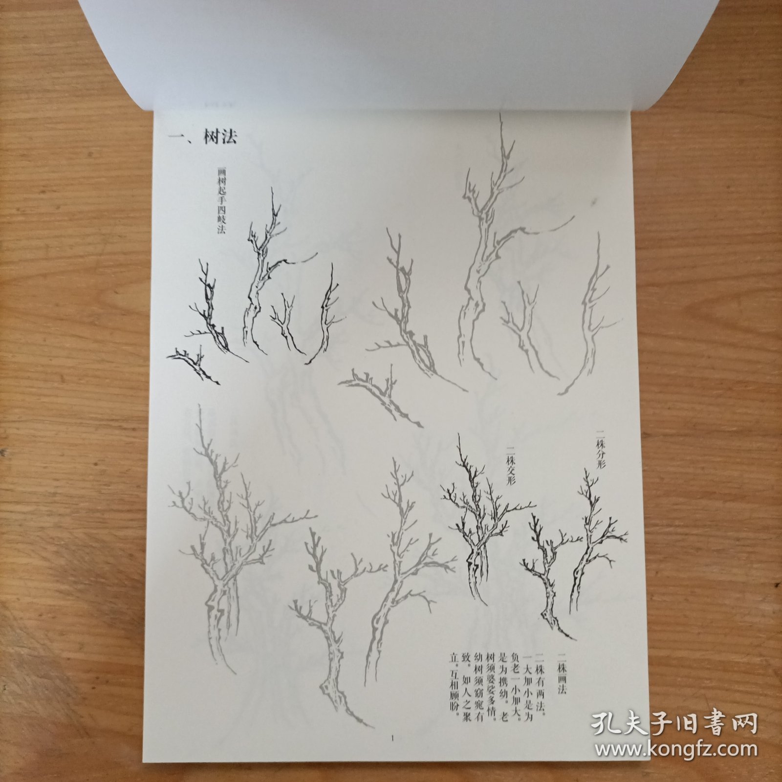 芥子园画传描红本 山水树石卷