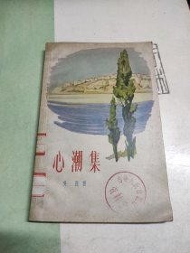 心潮集