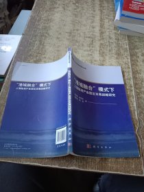 海洋经济研究丛书：“港城融合“模式下上海临港产业园区发展战略研究