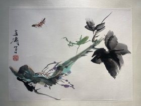 王雪涛，国画精品，中国近现代花鸟画家
33.5*44.5cm，镜心
王雪涛（1903年12月31日－1982年11月24日），出生于河北成安。原名王庭钧，字晓封，号迟园。中国农工民主党党员，中国近现代花鸟画家，其主要绘画作品有《群鸡图》《万紫千红》《百花齐放》《四季花鸟》《报喜图》等，出版有《王雪涛画辑》《王雪涛画谱》《王雪涛的花鸟画》等。