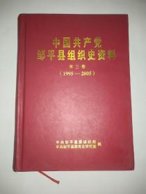 中国共产党邹平县组织史资料（第三卷 1995－2005）