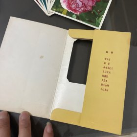 1964年明信片（菊花存9张差一张（牡丹花8张全）品自定-按图片发货