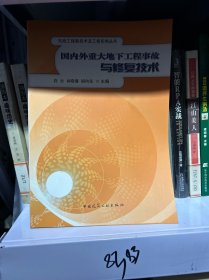 国内外重大地下工程事故与修复技术