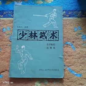 少林武术——连手短打达磨杖