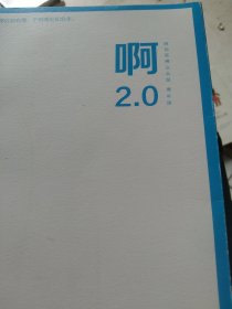 啊2.0 大冰作品
