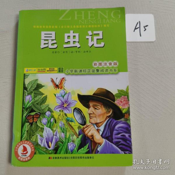 小学新课标正能量阅读书系：昆虫记（彩图注音版）