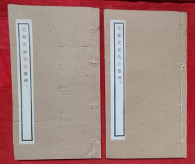元赵文敏仇公墓碑。上下册