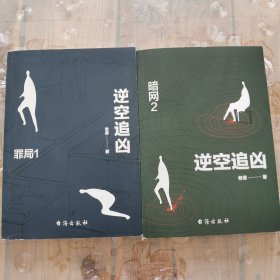 逆空追凶：穿越时间虫洞，横跨平行空间，追捕陈年积案真凶