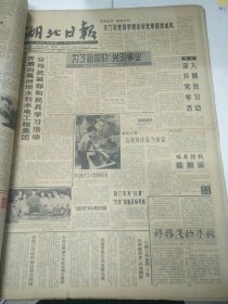 湖北日报1995年6月25日