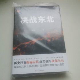 决战东北