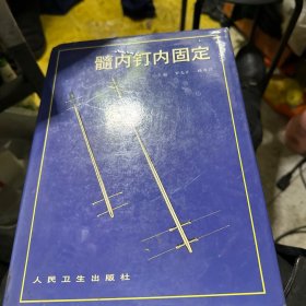 髓内钉内固定