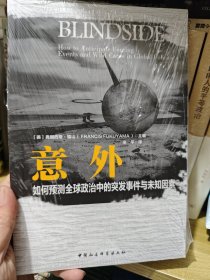 意外：如何预测全球政治中的突发事件与未知因素