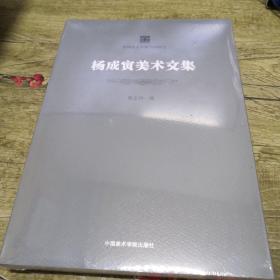 中国美术学院名师典存：杨成寅美术文集（全新未拆封）