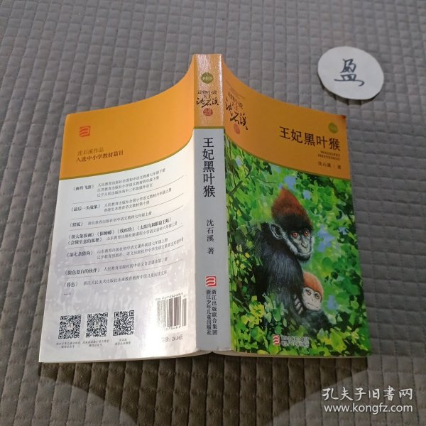 动物小说大王沈石溪：王妃黑叶猴