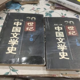 20世纪中国文学史（上下卷）