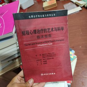 心理治疗核心能力系列丛书·短程心理治疗的艺术与科学（翻译版）