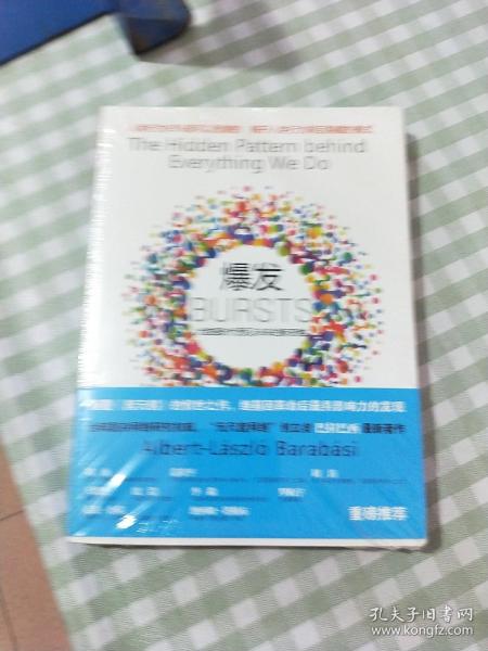 爆发：大数据时代预见未来的新思维