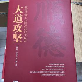 大道攻坚：顺德村级工业园改造纪实报告