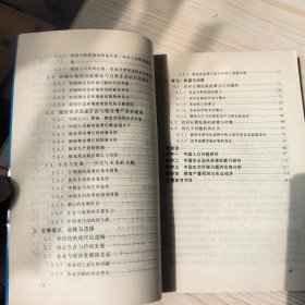 生存与发展 中国长期发展问题研究