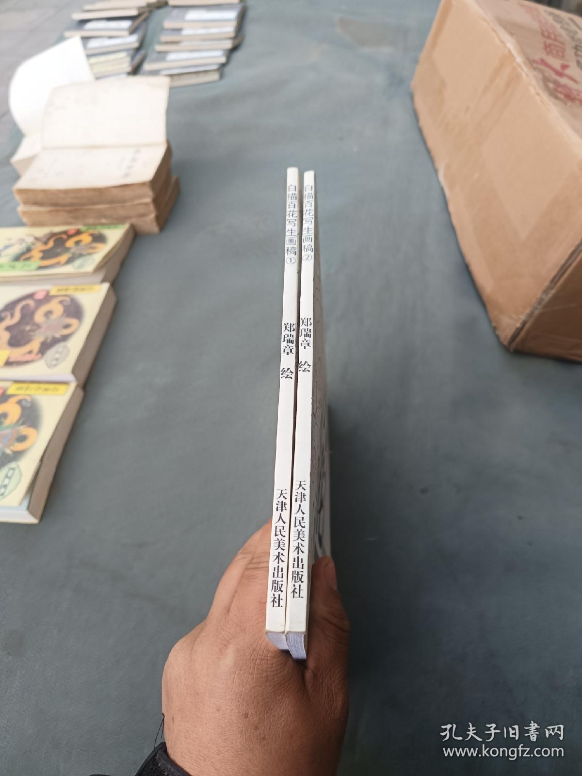 白描百花写生图稿1 2