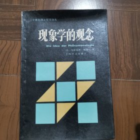 现象学的观念