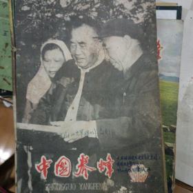 中国养蜂，1980年1-6期