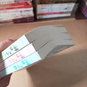 锦绣江山之溺宠皇妃（上中下）