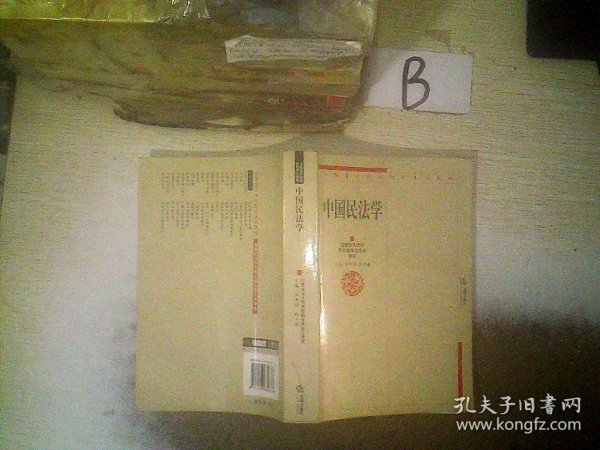 全国重点政法院校系列教材：中国民法学