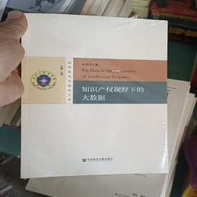 知识产权视野下的大数据