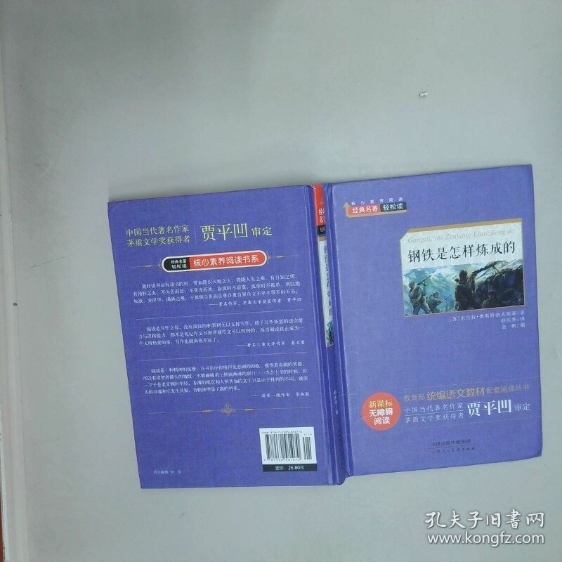 钢铁是怎样炼成的 经典名著轻松读   苏联  尼古拉 奥斯特洛夫斯基 天津人民美术出版社