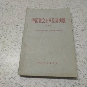 中国社会主义经济问题（试用本）