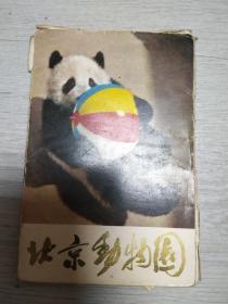 六七十年代北京动物园明信片13张