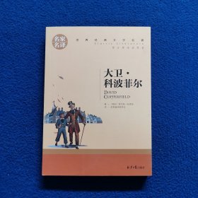 .大卫 科波菲尔 中小学生课外阅读书籍世界经典文学名著青少年儿童文学读物故事书名家名译原汁原味读原著