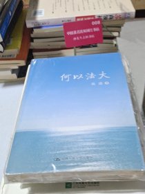 何以法大