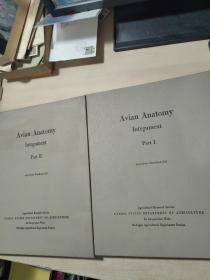英文原版 Avian Anatomy: Integument 鸟类的结构解剖 两册全