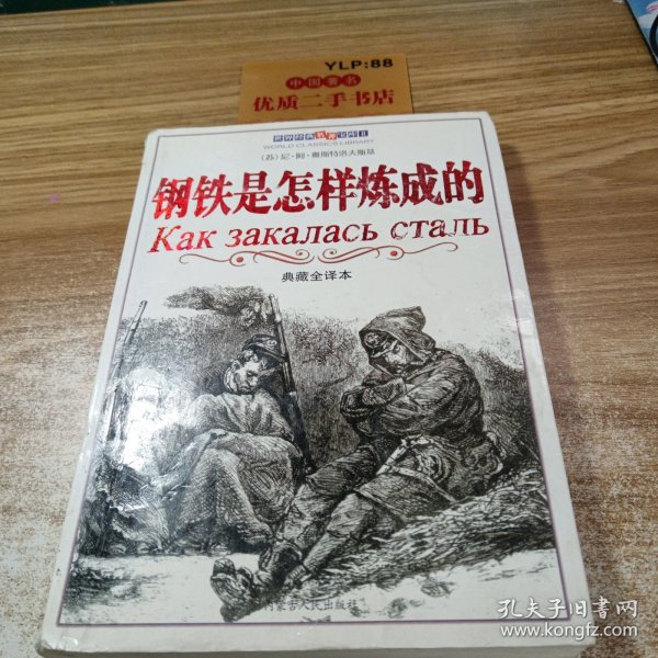 钢铁是怎样炼成的 典藏全译本