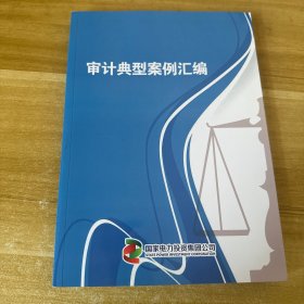 审计典型案例汇编