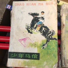 少年马倌