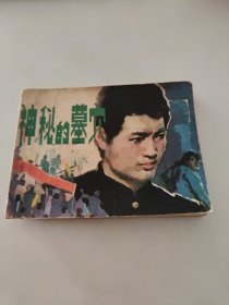 连环画 神秘的墓穴