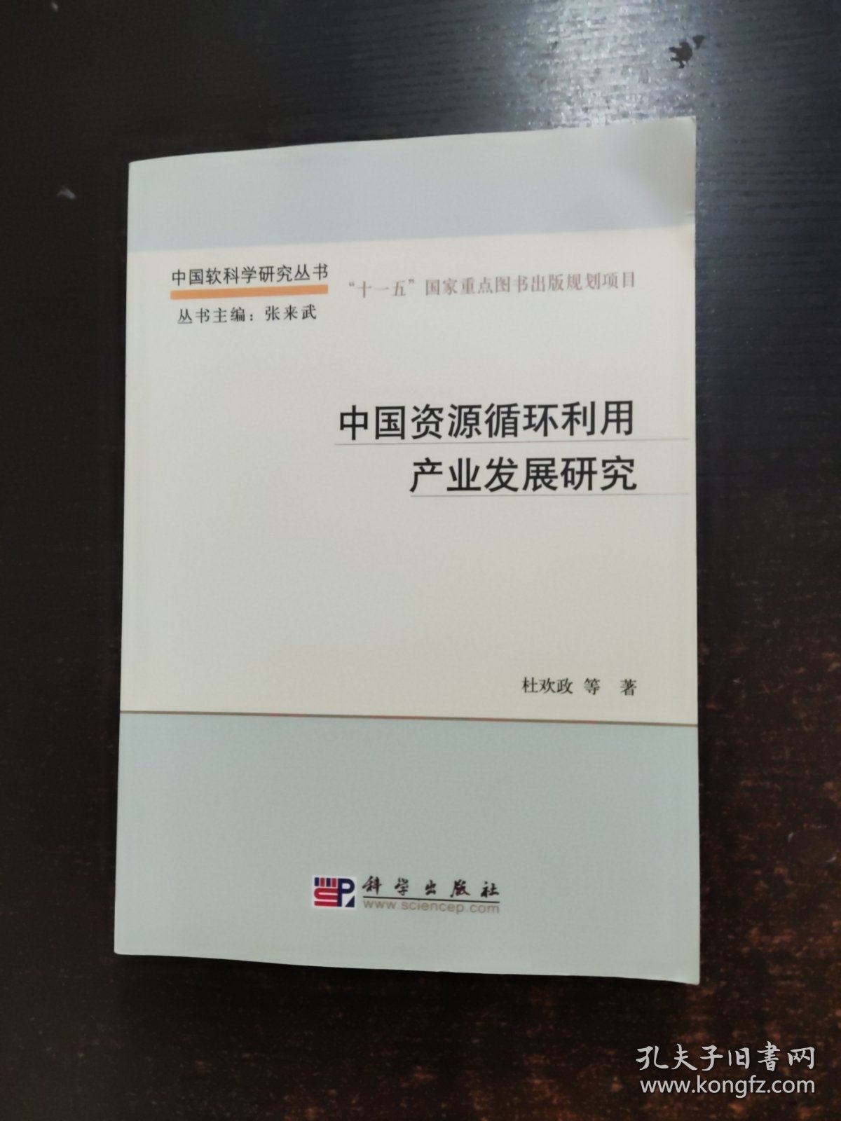 中国软科学研究丛书·“十一五”国家重点图书出版规划项目：中国资源循环产业发展研究