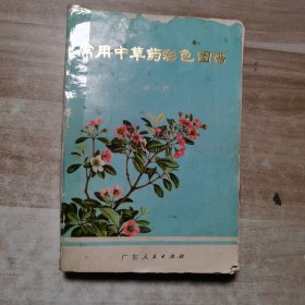 常用中草药彩色图谱（第一册）